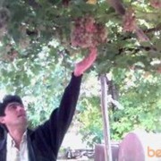 ���������� ������, ���� ������� ���, 54 ����, ������������ ��� ������