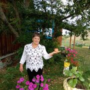 ���������� ����������, ���� ������� �������, 66 ���, ������������ ��� ������, ����� � ���������, ���������