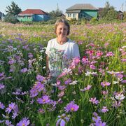 ���������� �������, ���� ������� �����, 49 ���, ������������ ��� ����� � ���������, c�������� ���������