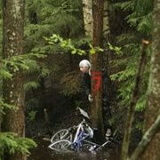 ���������� ������, ���� ������� ������, 31 ���, ������������ ��� ������, ����� � ���������