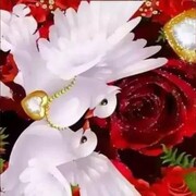  ,   T, 40 ,   ,   , c , 
