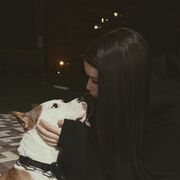 ���������� ��������, ����