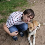  -,   , 38 ,   