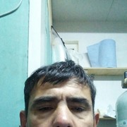  -,   , 48 ,  