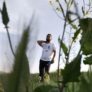 ���������� �������, ���� ������� �������, 42 ����, ������������ ��� ������, ����� � ���������