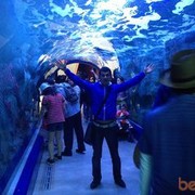  ,   Akmal, 41 ,   