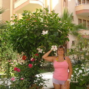  ,   , 53 ,   c 