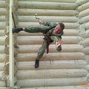 ���������� ������� �����, ���� ������� ��������, 46 ���, ������������ ��� ����� � ���������, c�������� ���������