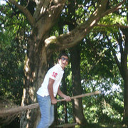  ,   HOVO, 34 ,   ,   , c 