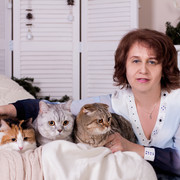 ���������� �����-���������, ���� ������� ������, 62 ����, ������������ ��� ������, ����� � ���������, c�������� ���������