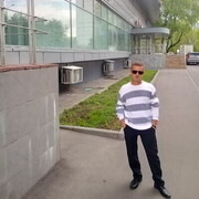 ���������� ����, ���� ������� �������, 43 ����, ������������ ��� c�������� ���������