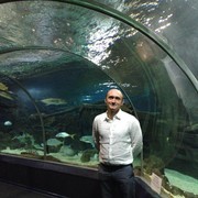  --,   , 41 ,   