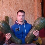 ���������� �����, ���� ������� ���������, 34 ����, ������������ ��� ������, ����� � ���������