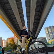  --,   Maxim, 38 ,   ,   , c , 
