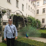  Praha,   Amadeus77773, 52 ,     , c 