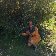 ���������� ���������, ���� ������� ������, 67 ���, ������������ ��� c�������� ���������