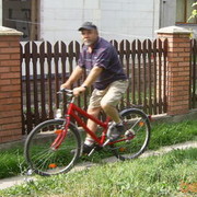  ,  tom, 59