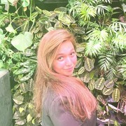 ���������� ����, ��������