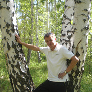  -,   , 37 ,  