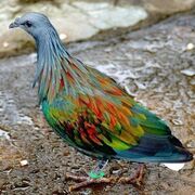 ���������� ������, ���� ������� �������, 56 ���, ������������ ��� ������, ����� � ���������, c�������� ���������, ���������