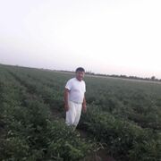  ,   , 54 ,   ,   