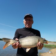  ,   , 59 ,   