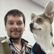 ���������� �����������, ���� ������� Dima, 36 ���, ������������ ��� ������, ����� � ���������