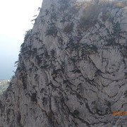  ,   , 56 ,     , c 