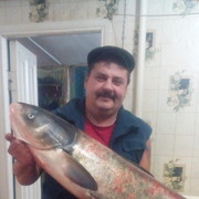 ���������� �������-����������, ������� ����, 55