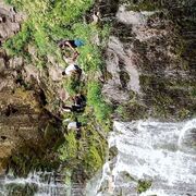 ���������� ������, ���� ����� �����, 23 ����, ������������ ��� ������, ����� � ���������, ���������