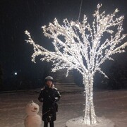 ���������� �����������, ���� ����� ������, 24 ����, ������������ ��� ������, ����� � ���������, c�������� ���������, ���������