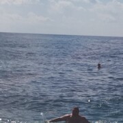  ,   , 54 ,   