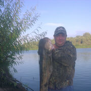 ���������� �����, ���� ������� ���������, 49 ���, ������������ ��� ������, ����� � ���������, c�������� ���������, ���������