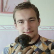 ���������� ������, ���� ������� ��������, 36 ���, ������������ ��� ������, ����� � ���������, c�������� ���������