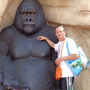  ,   Ander gen, 45 ,   