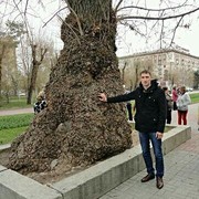 ���������� �������, ���� ������� ����, 35 ���, ������������ 