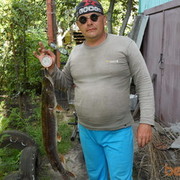  ,   , 59 ,   