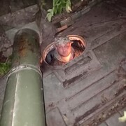 ���������� ������, ���� ������� �������, 31 ���, ������������ ��� ������, ����� � ���������