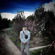  ,   , 27 ,   ,   