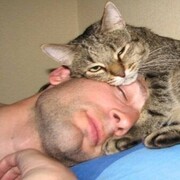 ���������� �����, ���� ������� ������, 37 ���, ������������ ��� c�������� ���������