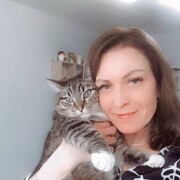 ���������� ������������, ���� ������� ����, 44 ����, ������������ ��� c�������� ���������