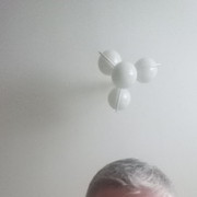 ���������� �����������, ���� ������� �������, 48 ���, ������������ ��� ������, ����� � ���������, c�������� ���������