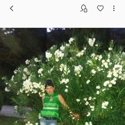  ,   , 48 ,     , c 