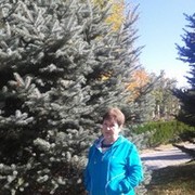 ���������� �����������, ���� ������� ��������, 68 ���, ������������ ��� ������, ����� � ���������, c�������� ���������