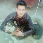  ,   ARSI, 35 ,   ,   , c 