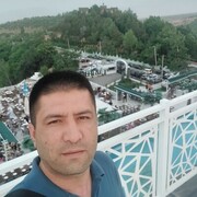  ,   Doni, 41 ,   ,   , 
