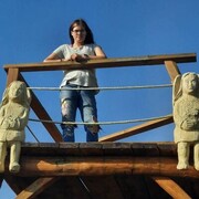 ���������� ����������, �����