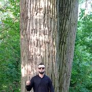 ���������� ������, ���� ������� ������, 39 ���, ������������ ��� ������, ����� � ���������