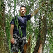  ,   , 49 ,   ,   , c 