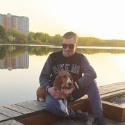 ���������� ������, ���� ������� �����, 41 ���, ������������ ��� ������, ����� � ���������, c�������� ���������, ���������